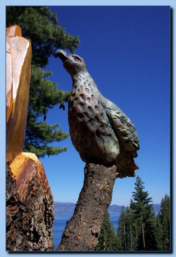 2-45  grouse-archive-0006